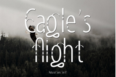 Eagle&#039;s Flight | Natural Sans Serif