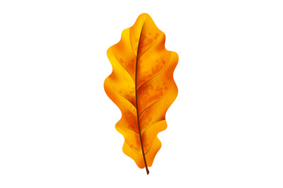 Orange leaf. Realistic autumn forest foliage, yellow fall single isola