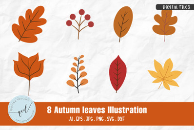 Autumn Leaves Illustration | 8 Variations
