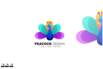 beauty peacock logo colorful design template