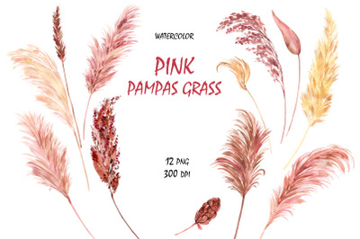 Watercolor Pampas Grass Clipart. Boho Floral Elements PNG