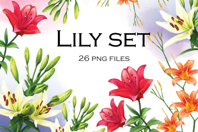 Lily Set