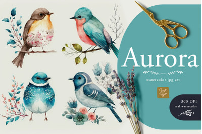 Cute Adorable Set of 53 Watercolor Bird Illustrations