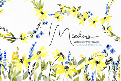 Watercolor Blue and Yellow Daisies Flowers