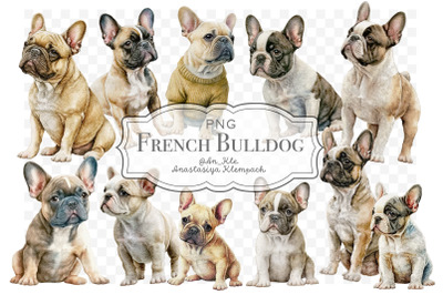 French bulldog clipart png