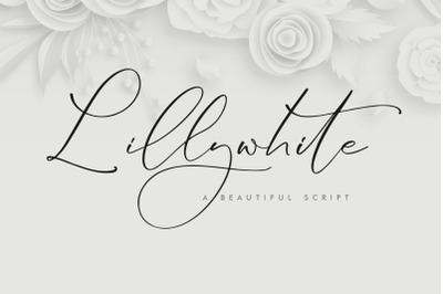 Lillywhite - Beautiful Script