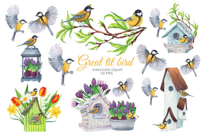 Great tit bird watercolor clipart, spring garden clipart, birdhouse pn