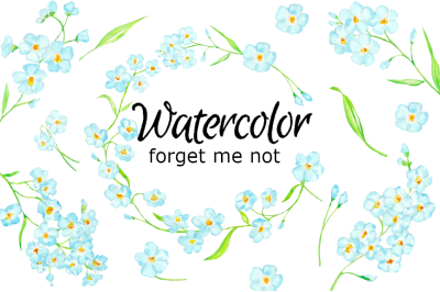 Forget me not watercolor clipart