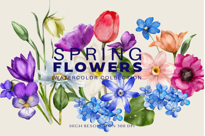 Watercolor Spring Flowers Huge Collection