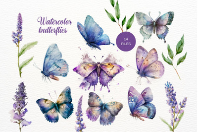 Butterfly Watercolor Floral Clipart