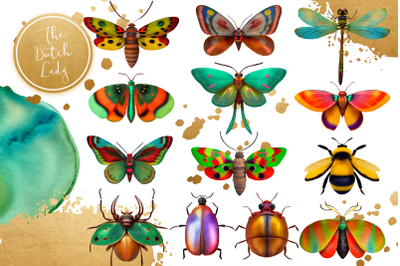Beetles and Moths Clipart Set