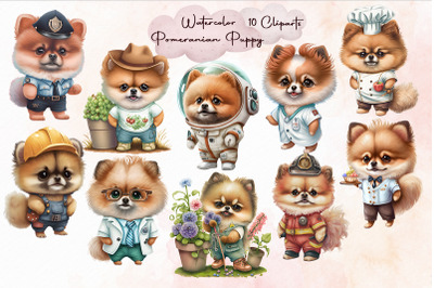 Watercolor Pomeranian Puppy Bundle