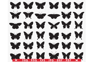 SVG Butterflies, Seamless Pattern, Silhouettes, Digital clipart