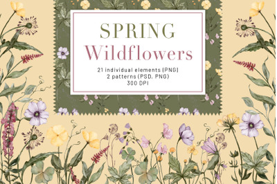 Spring Wildflowers Watercolor Clipart. Floral Seamless Pattern. Summer