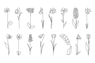 Continuous one line spring flowers. Botanicals silhouette, early flowe