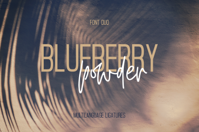 Blueberry Powder FONT DUO