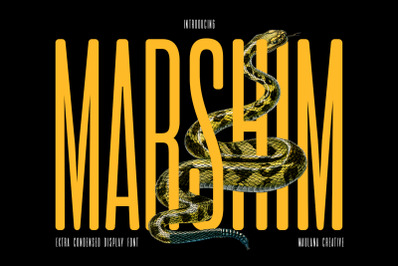 Marshim Sans Serif Display Font