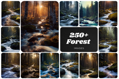 255 Vibrant Forest and Nature Images - Perfect for Home Decor, Photogr