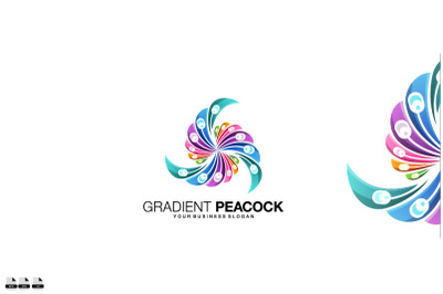 Gradient peacock vector logo design illustration