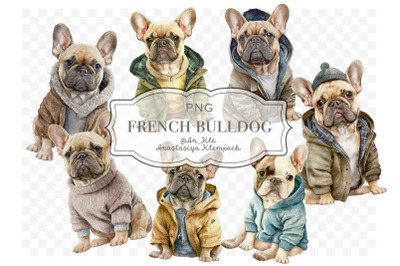 French bulldog in clothes clipart png