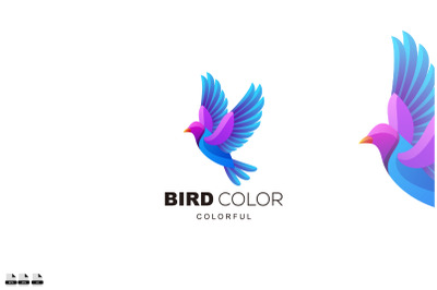 bird logo design vector gradient colorful