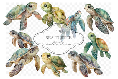 Sea turtle clipart png