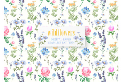 Wildflowers watercolor seamless pattern, digital paper. Meadow flowers