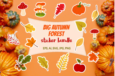 Big autumn forest sticker bundle