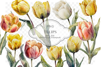 Tulip flowers clipart png