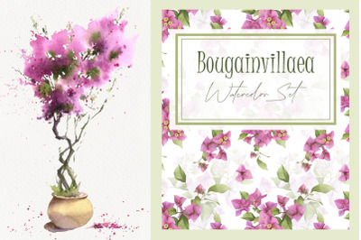 Bougainvillaea watercolor set