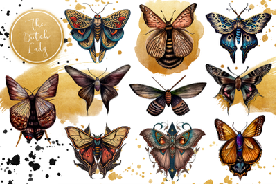 Mystical Moth Drawings Clipart Set