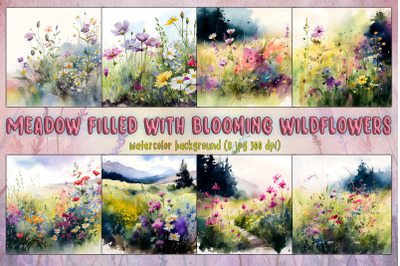 Meadow Filled With Blooming Wildflowers