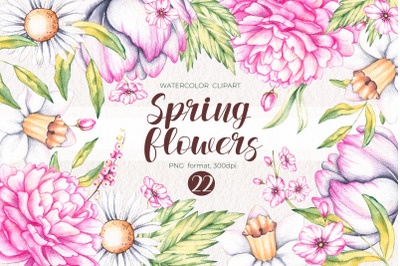 Watercolor Spring flowers / Watercolor clipart PNG