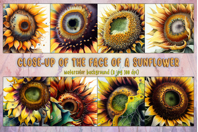 Close-Up Of The Face Of A Sunflower