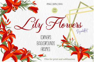 Lily flowers, floral clipart, border