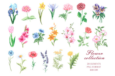 Flowers watercolor clipart. Wildflowers. Rose, peony, lily, iris.