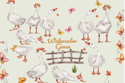 Watercolor Geese Clipart and Seamless Pattern Set