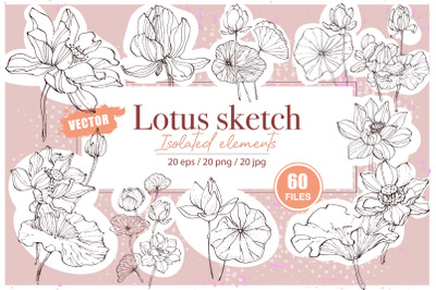 Lotus sketch ink drawing