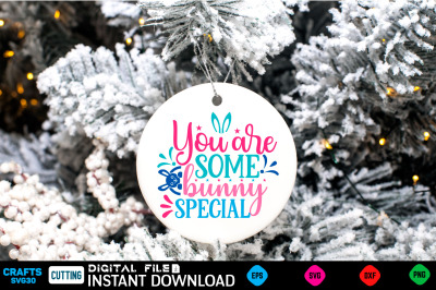 You are some bunny special Svg design