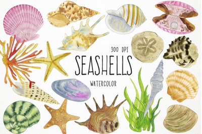 Watercolor Seashells Clipart, Shells Clipart, Sea Clipart, Ocean