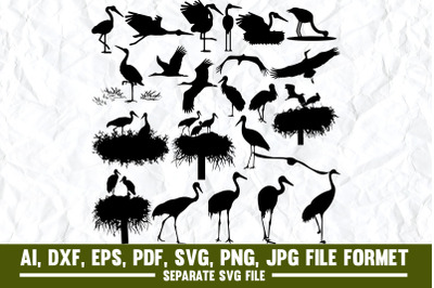 Stork, bird, birds, nature, animal, wildlife, animals, shoebill, baby,