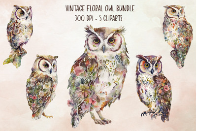 Vintage Floral Owl Cliparts Bundle