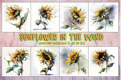 Sunflower In The Wind Background