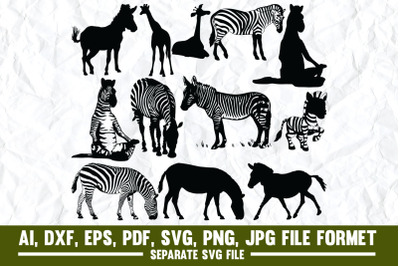 Zebra, animal, zebra print, animals, stripes, africa, cute, safari, bl