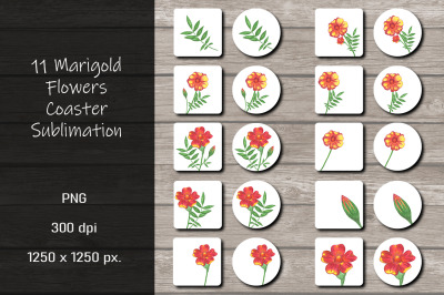 Marigold Flowers Coaster Sublimation Design Bundle