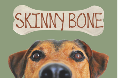 Skinny Bone | Stylized Handwritten Font