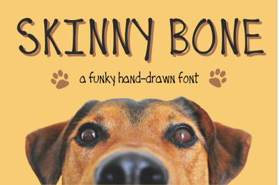 Skinny Bone | Stylized Handwritten Font