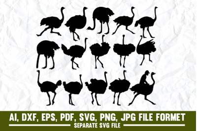 Ostrich, Emu, Clip Art, Flat Design, Bird, Cartoon, Mascot, Africa, An