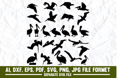 Pelican, Flying, Bird, Crane - Bird, Sea Bird, Animal, Animal Body Pa