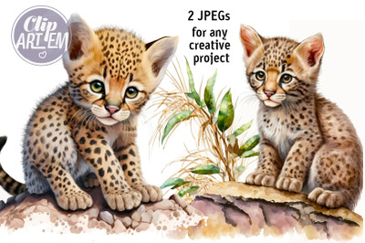 Cute Wild Kitten 2 JPEGs Wall Art like Cheetah Cat Images